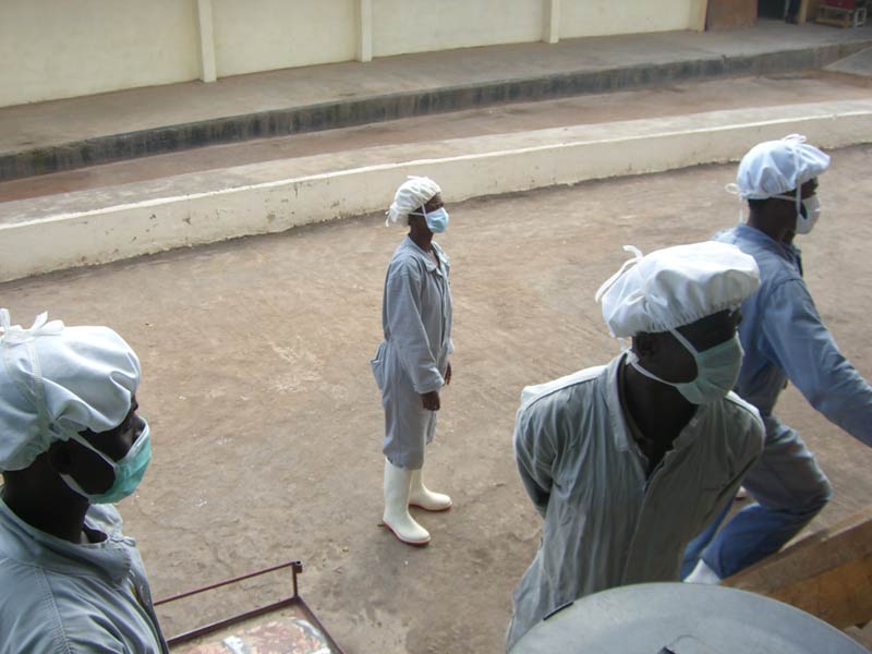 Oil Factory Workers